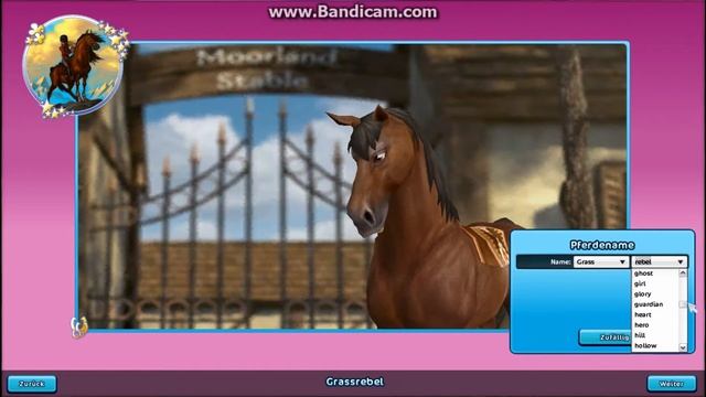 2. Account auf Star Stable online erstellen - Star Stable mit Dani [Deutsch/German]