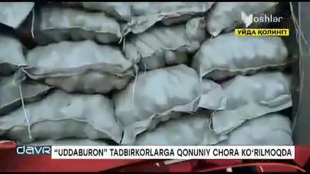 20 тонна картошка нархини сунъий равишда оширган шахсларга қонуний чора кўрилди #surxondaryo #Termi