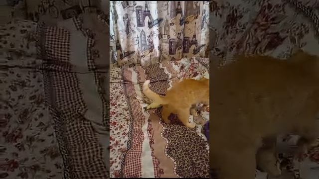 1000004483.mp4