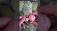 набор | бальзамы и блеск для губ