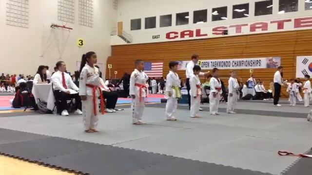Angelina only girl first place forums taekwondo martial art