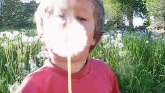 ДЯДЯ ГО (Суматоха поет)