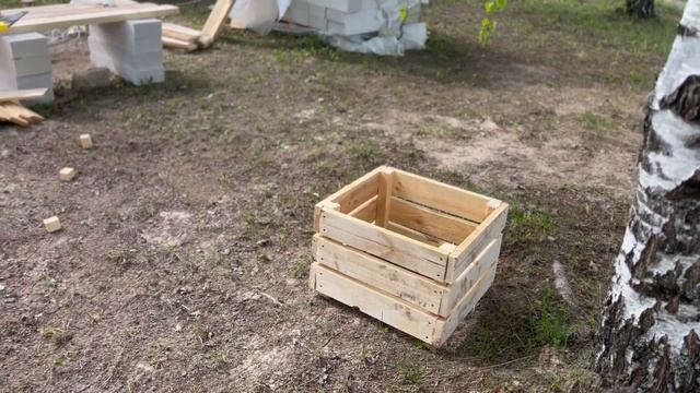 Трое в новом доме. Развлечения кошки.