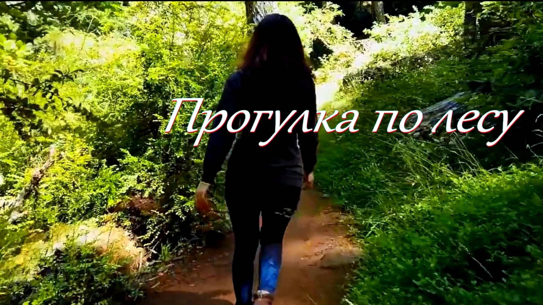 Прогулка по лесу