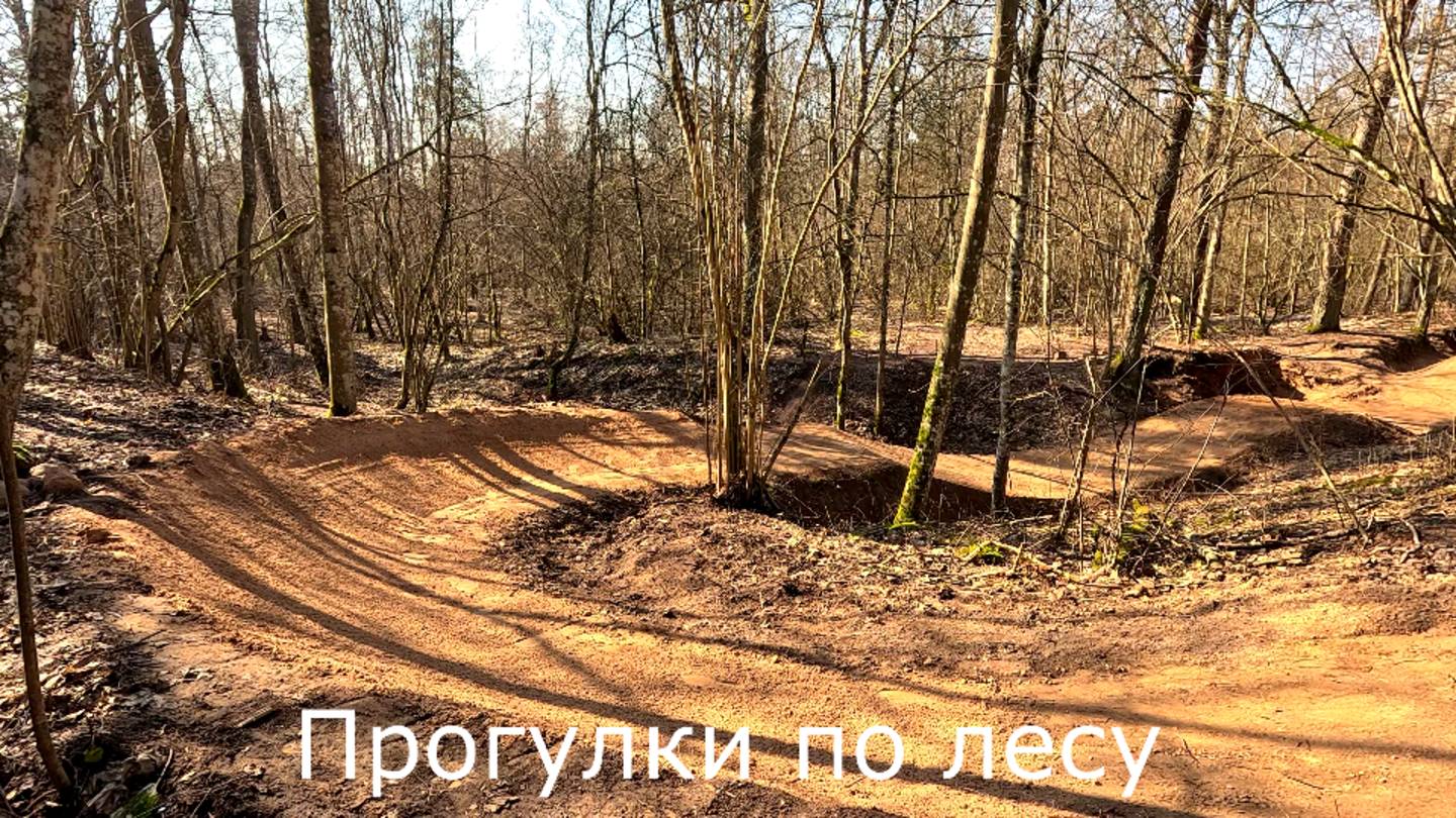 Прогулки по лесу. На макушке горы переделали трамплины.