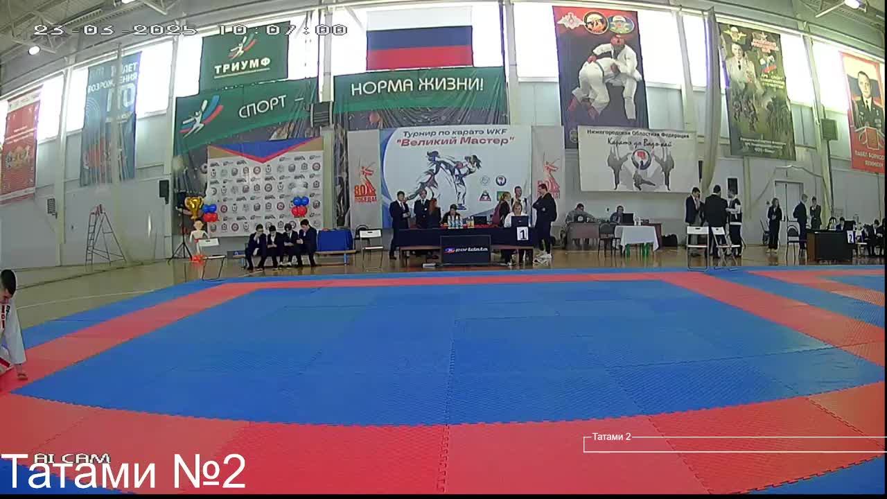Татами №2 Турнир по каратэ "Великий Мастер) г. Володарск 23.03.2025