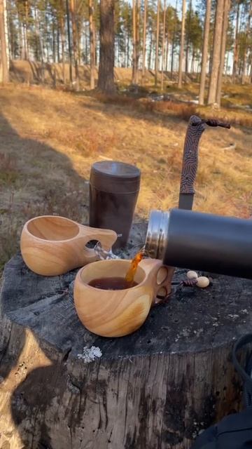 Поход выходного дня