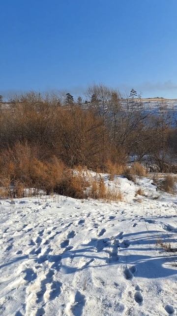 Остров Спасский, южная сторона