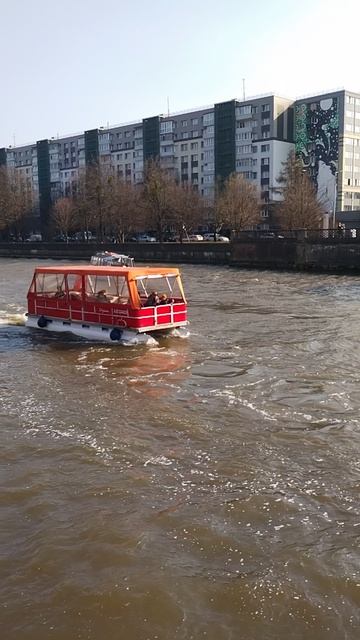 Водный Калининград #18.