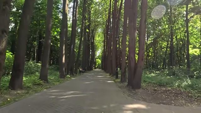 Отшельник спас малышку от наводнения и принес в свою хижину… А наутро у его лачуги стоял кортеж…