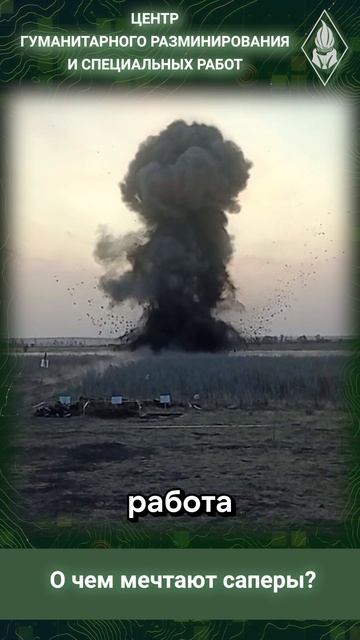 О чем мечтают саперы?