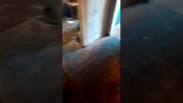 Треш квартира - Треш Хата