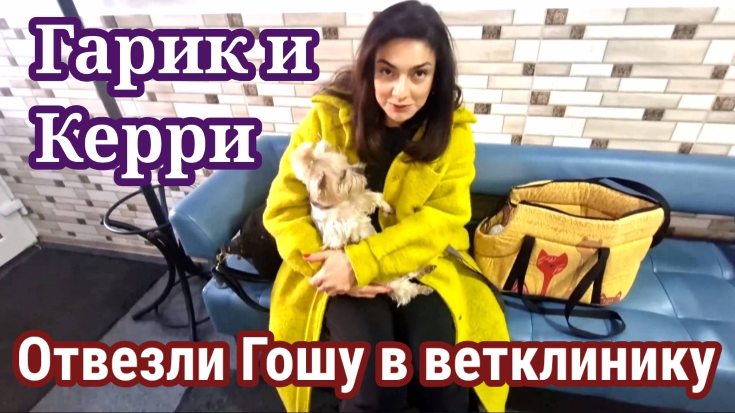 Гарик и Керри- Гошку отвезли в Ветклинику