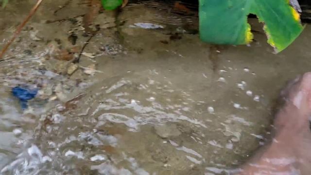 Boboiboy and Family,Menyelamatkan Sahabat Boboiboy Semesta Terjepit Bambu Yang Panjang Di Sungai..‼