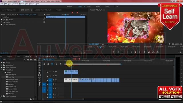 Adobe Premiere CC |  Use Croma Key Effect | Video Effect | Wedding Editing