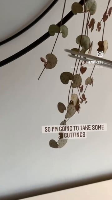 String of hearts propagation!