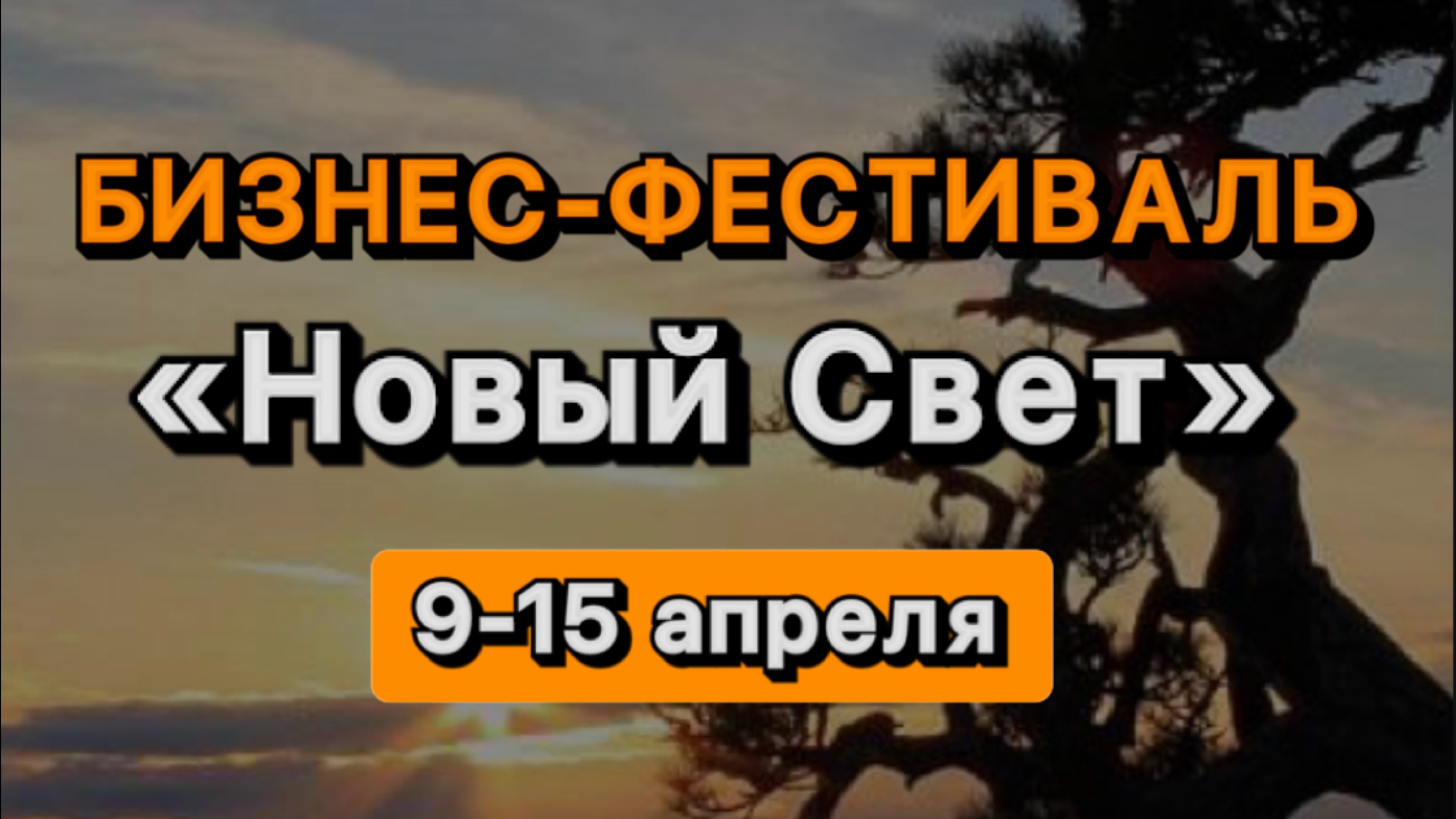 Бизнес-фестиваль «Новый Свет» в отеле Князь Голицын