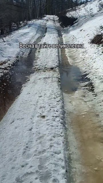 весна