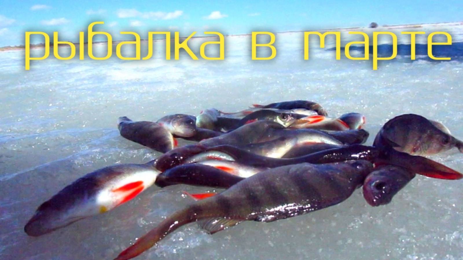 ТАКАЯ РЫБАЛКА В КОНЦЕ МАРТА! ОКуНЬ-ЩуКА НА БЛЕСНУ!