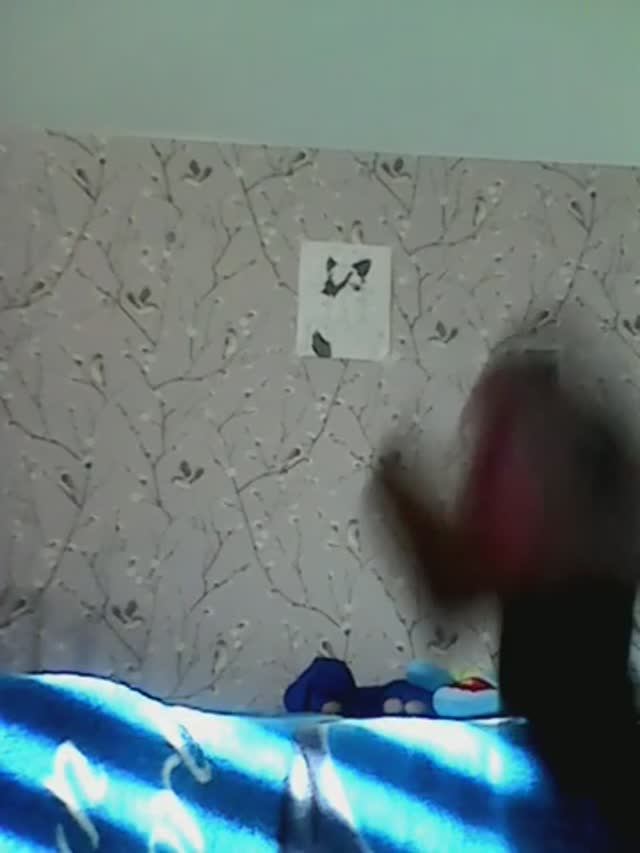 у меня новый дракончик # коты воители#дракончик#квд#