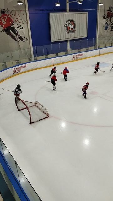 хоккей