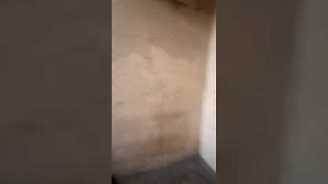 1000066715.mp4