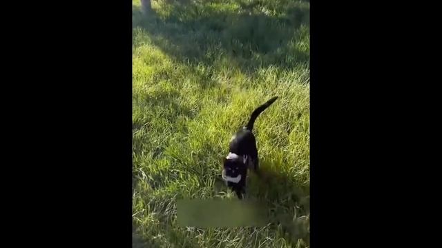 угар смотреть всем!!!😀😀