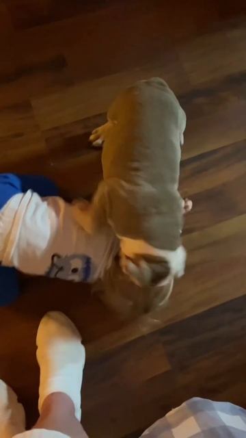 Maverick and Mox having a wrestling Match!