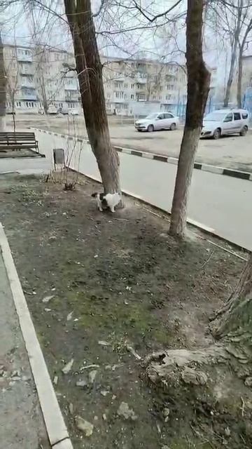 Что вытворяет👹
