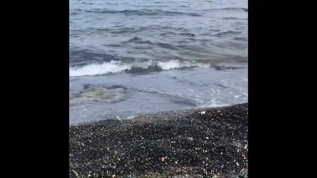 Le sable noir 🛶🏖🏝⛵️🏊🏾الرملالاسودالبحر في فرنسا 🏄🏼