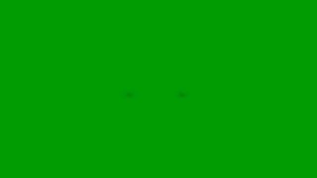 Danaya's Glowing Eyes FX- Yellow (Black l Green Screen) HD