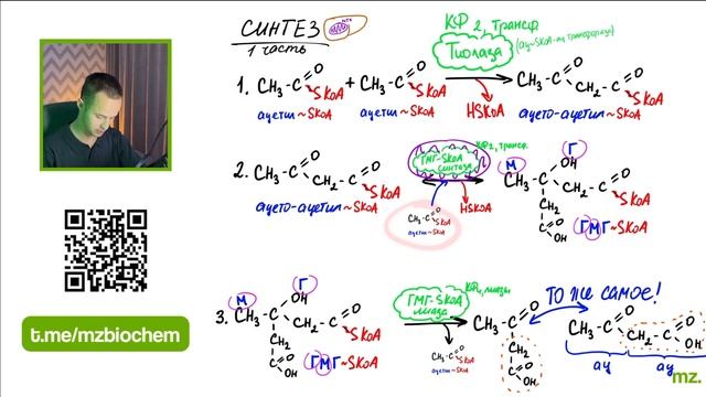 ОБМЕН КЕТОНОВЫХ ТЕЛ за 7 МИНУТ // На Биохимическом