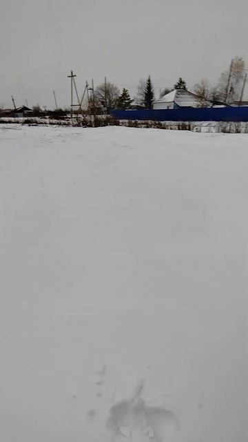Зимнее утро в октябре ️ #тюменскаяобласть #сельскаякатюшка72 #снег #первыйснег #октябрь2024
