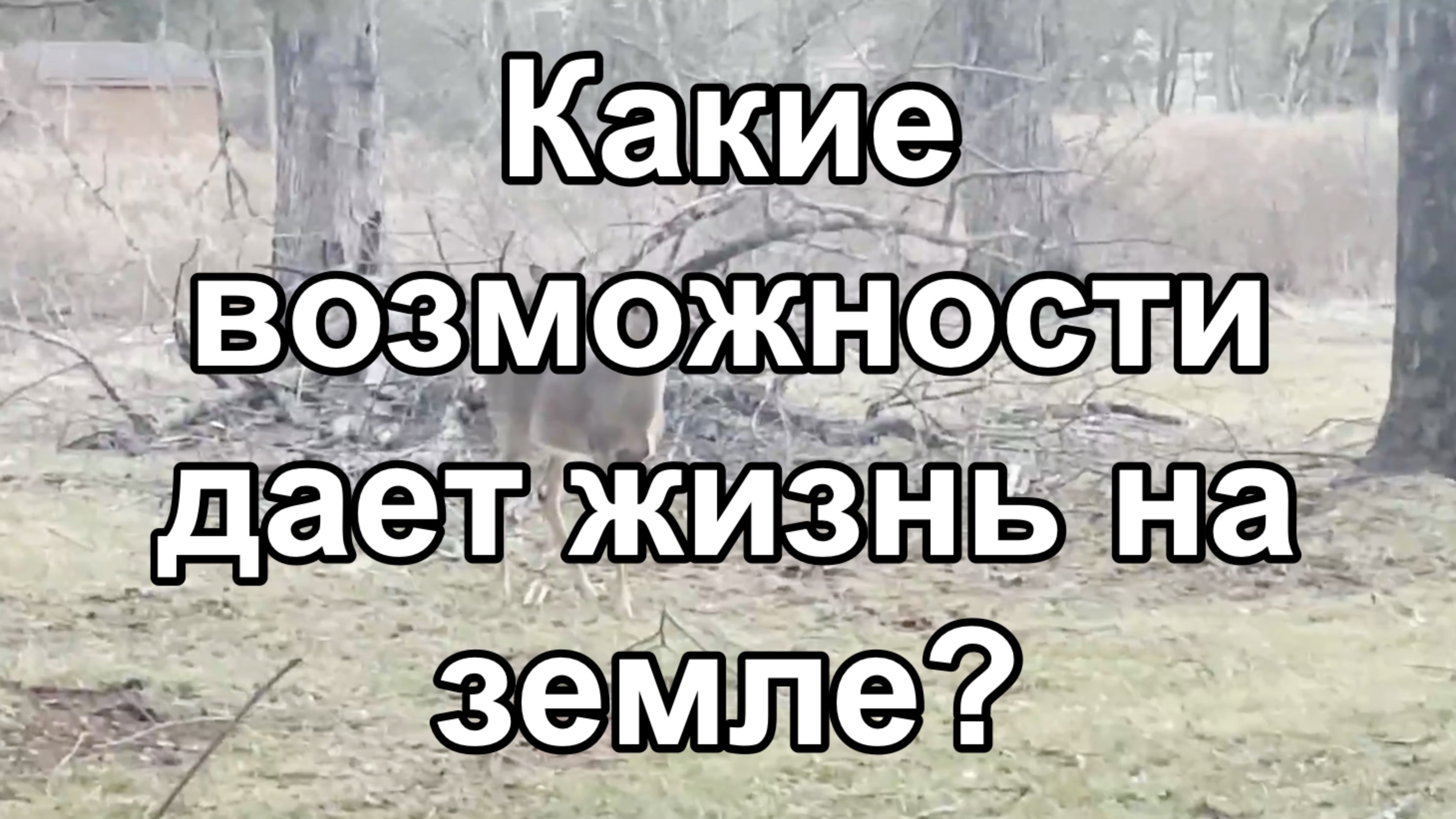 Какие возможности дает жизнь на земле?