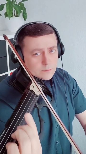 #violin #dance #relax #asmr #geige