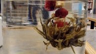 Flowering Tea