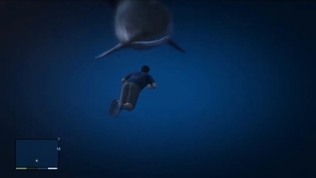 ➤ NEW GTA 5 SHARK ATTACK COMPILATION!!! 2017 HD