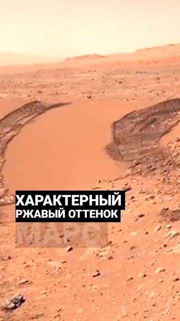 Почему Марс не зелёный? 🌌 #марс #космос #наука