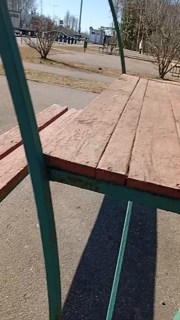 1000002951.mp4
