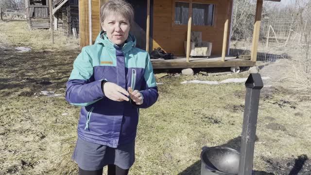 Выходной на пасеке
