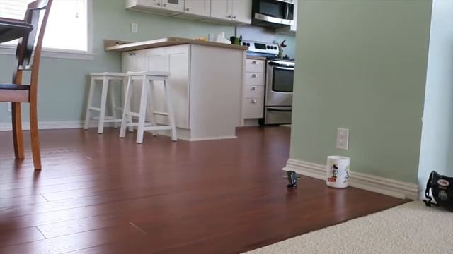 Two-Camera Trick Shots