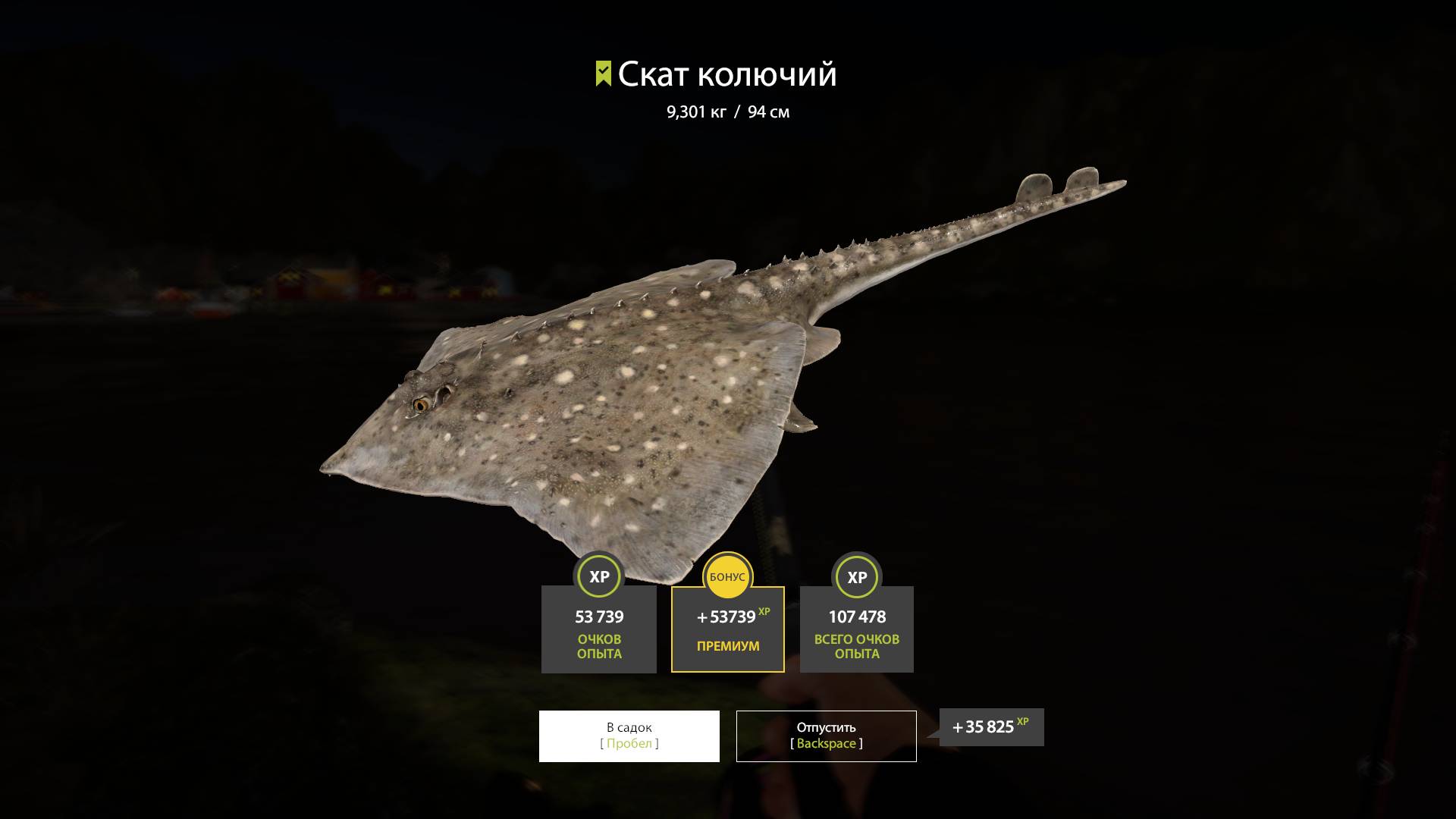 Русская рыбалка 4 Норвежское море камбала и скаты на карповые удилища кл 35 -45