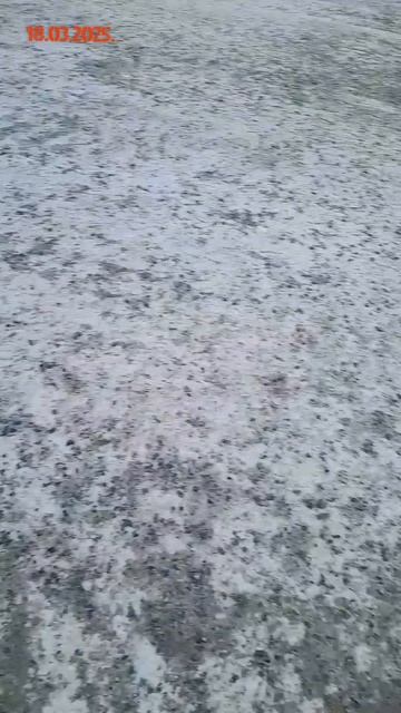 встреча с Михаилом