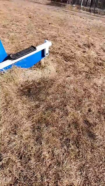 стадион
