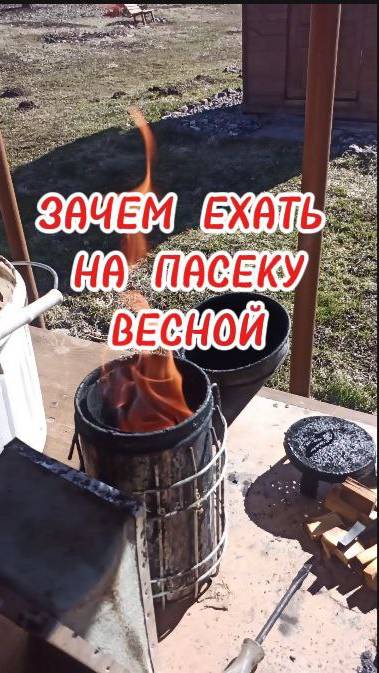 ЗАЧЕМ ЕХАТЬ НА ПАСЕКУ ВЕСНОЙ...