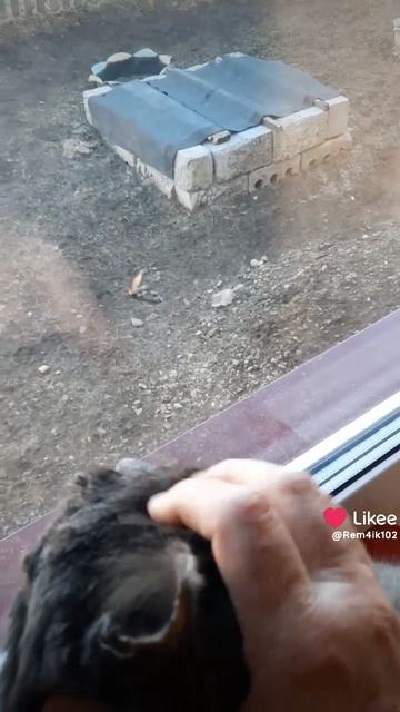 А за окном весна