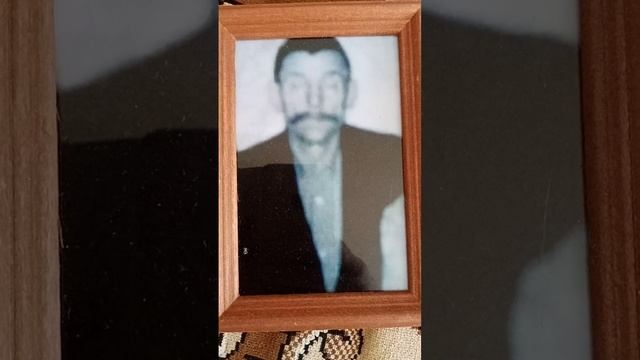 Габдрахман Габдрафикович Салимов Каеннар Арасына