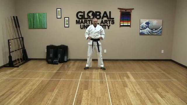Online Karate Training #4 - Karate Classes for Beginners - Delhi Karate School