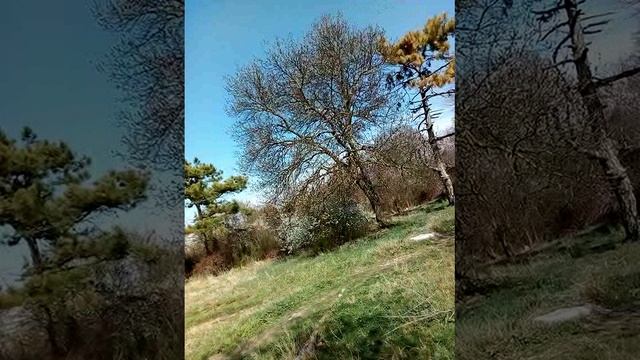 Воскресная видеопрогулка!