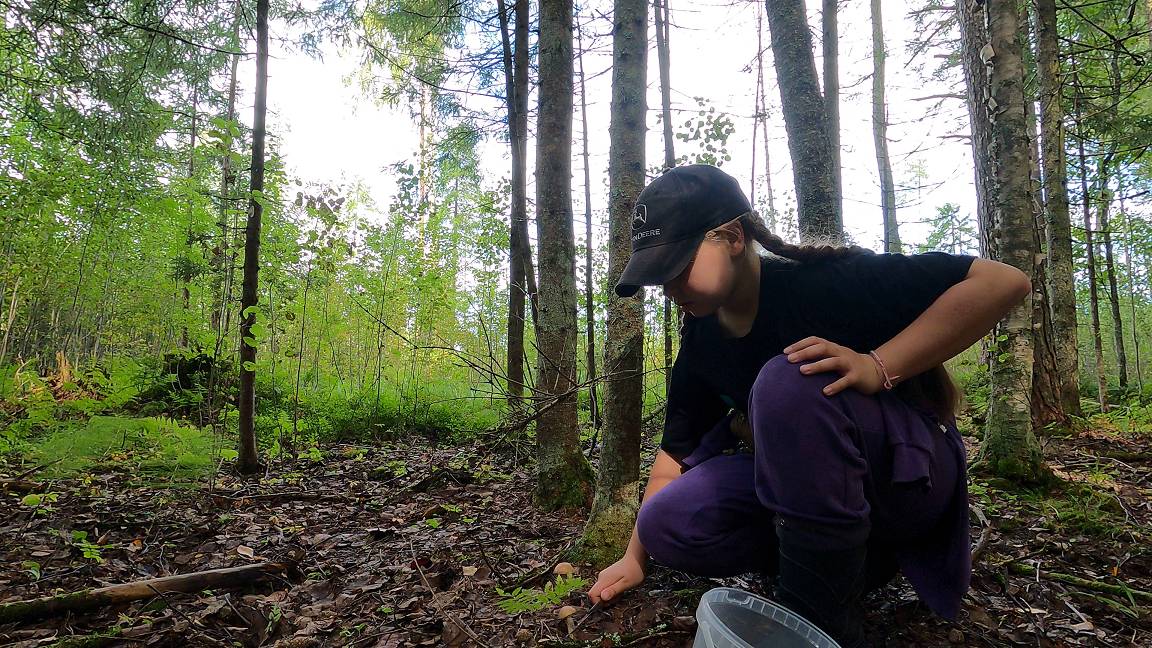 Грибы поперли! Поход с дочкой за грибами.